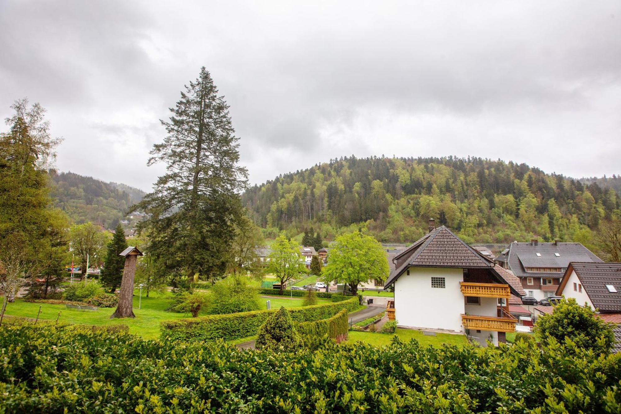 Haus Kurparkblick Villa Todtmoos Exterior foto